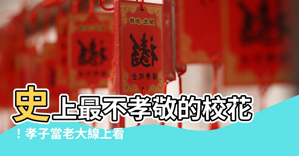 【孝子當老大線上看】史上最不孝敬的校花！孝子當老大線上看！