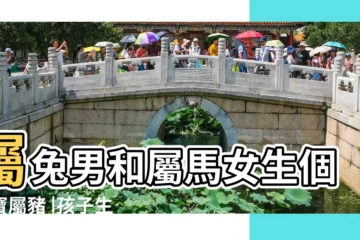 【男屬兔女屬馬生豬寶寶好】屬兔男和屬馬女生個寶寶屬豬 |孩子生對生肖竟能幫爸媽大翻身 |女屬兔男屬豬生孩子屬什麼好 |