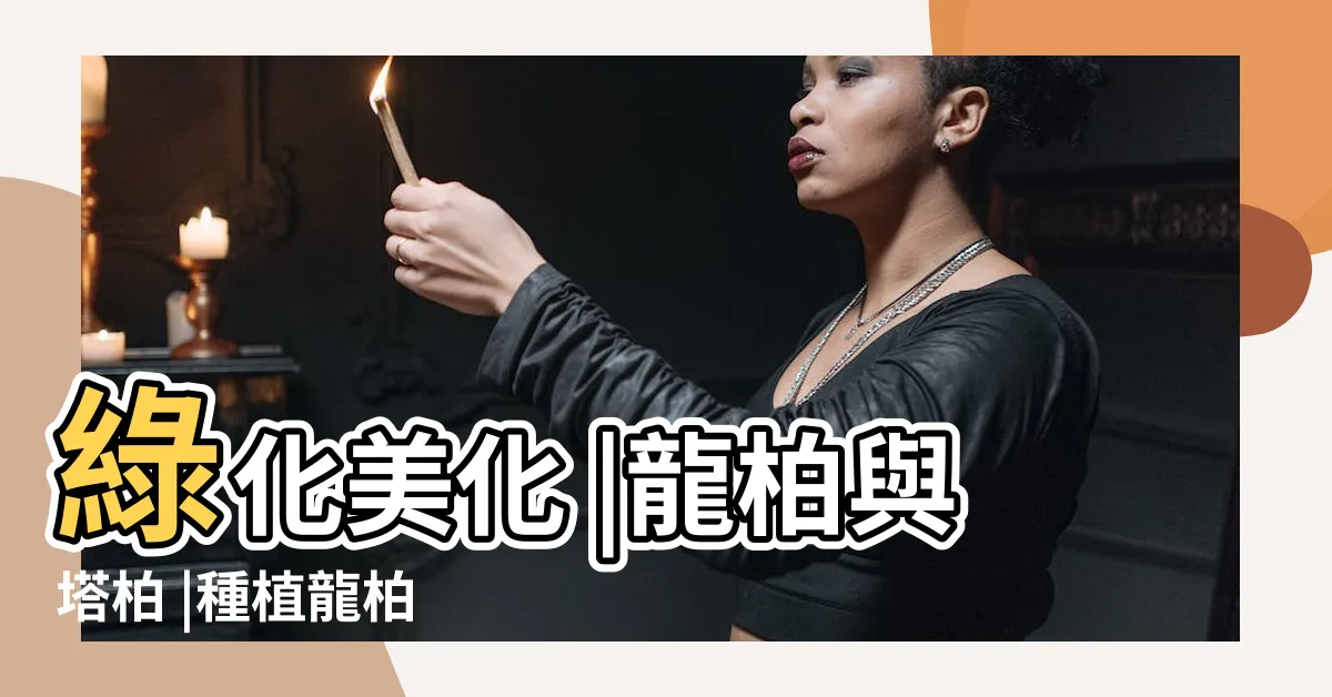 【龍柏種植】綠化美化 |龍柏與塔柏 |種植龍柏 |