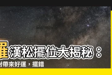 【羅漢松擺位】羅漢松擺位大揭秘：擺對帶來好運，擺錯招致厄運
