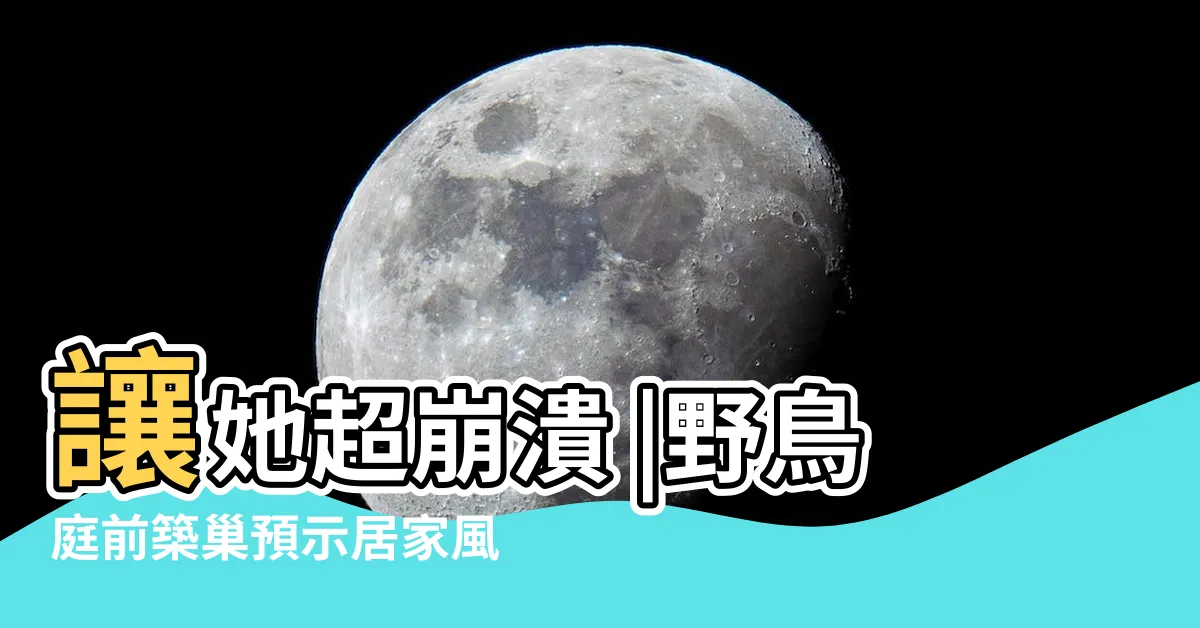 【住家有鳥巢】讓她超崩潰 |野鳥庭前築巢預示居家風水好兆頭 |窗户上有鳥窩什麼兆頭有好運嗎 |