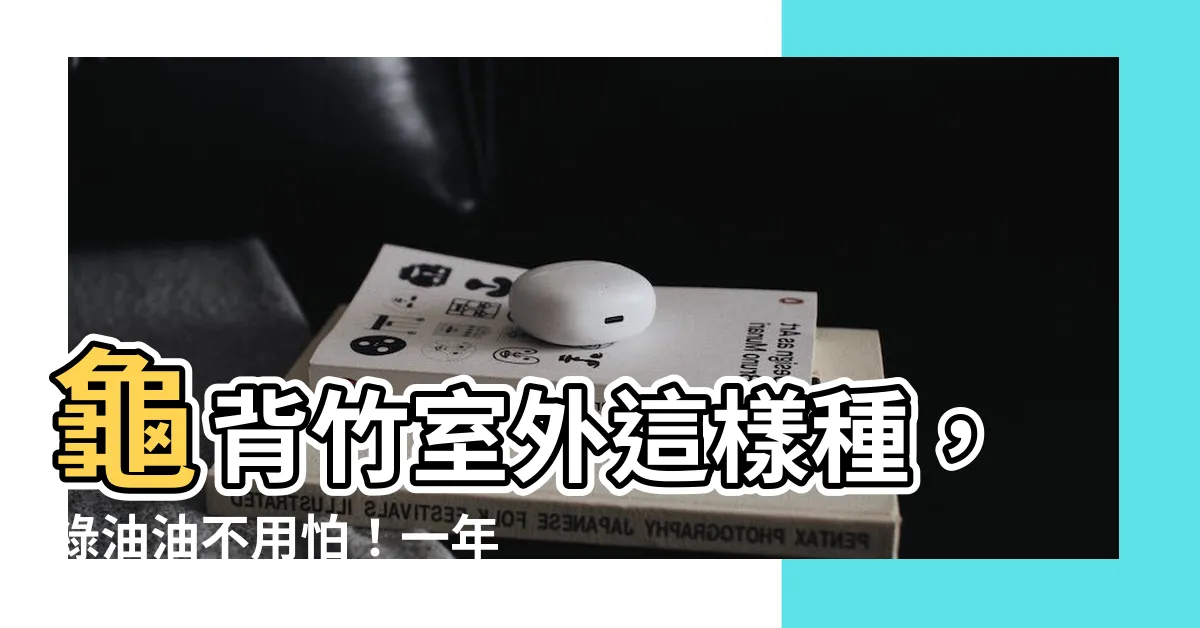 【龜背竹 室外】龜背竹室外這樣種，綠油油不用怕！一年四季都鮮豔
