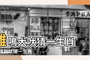 【小狗吠三?猜生肖】雞鳴犬吠猜一生肖 |雞啼狗吠猜一生肖 |狗吠三更天來亮打一生肖 |