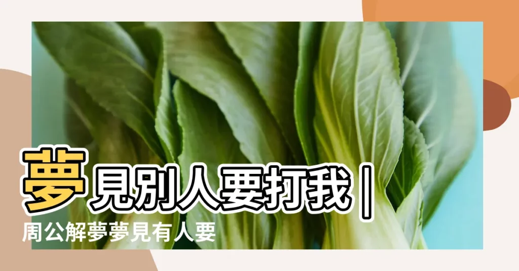 夢見別人要打我 |周公解夢夢見有人要打我是什麼意思做夢夢到 |夢見有人打我 |【做夢夢見很多人要打我】