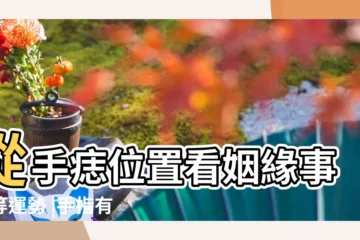 【孕婦右手指上長痣】從手痣位置看姻緣事業等運勢 |手指有痣代表什麼好不好 |媽媽產後臉上為何會多了癦和痣 |
