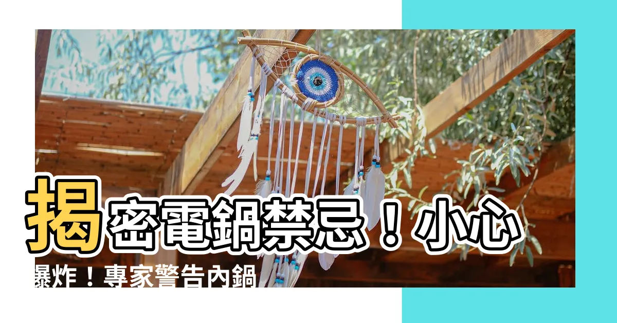 【電鍋禁忌】揭密電鍋禁忌！小心爆炸！專家警告內鍋錯換危機