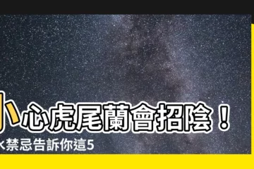 【虎尾蘭會招陰】小心虎尾蘭會招陰！風水禁忌告訴你這5個地方千萬別放