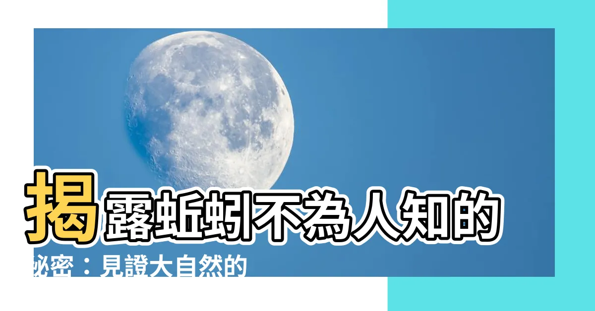 【蚯蚓】揭露蚯蚓不為人知的秘密：見證大自然的奇幻力量