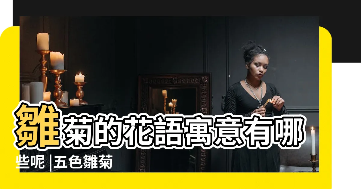 【白色小雛菊花語】雛菊的花語寓意有哪些呢 |五色雛菊 |總有一種打動你 |