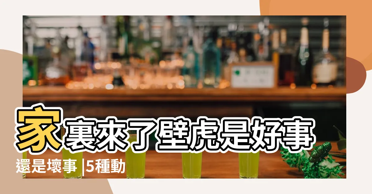【壁虎進家門】家裏來了壁虎是好事還是壞事 |5種動物 |壁虎帶財 |