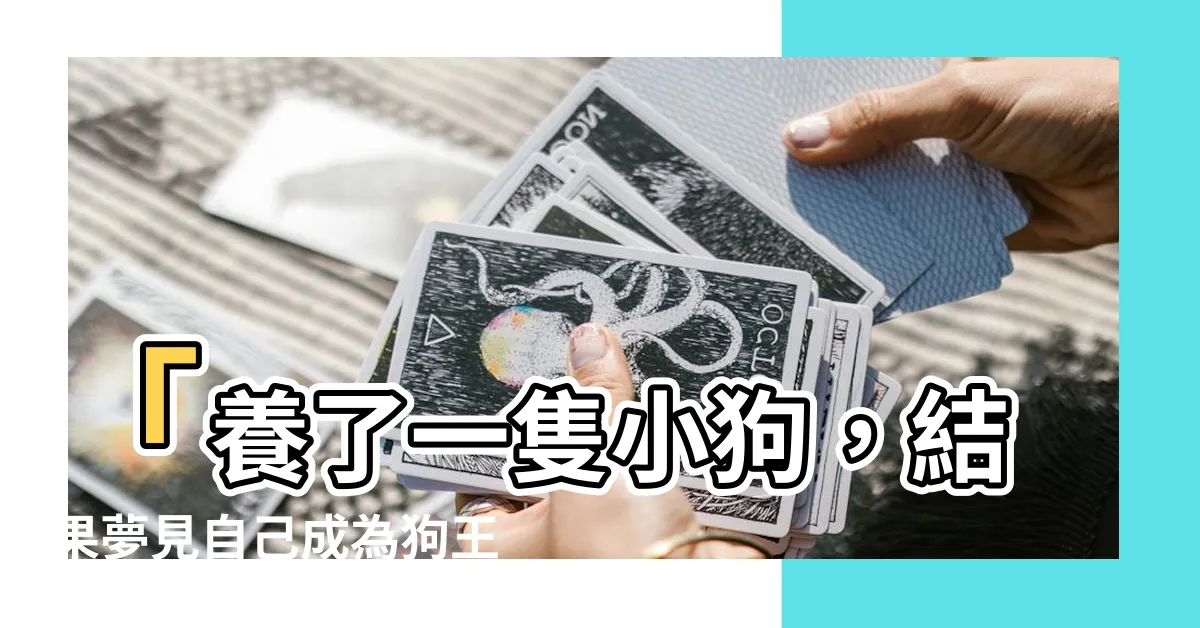 【夢見養狗】「養了一隻小狗，結果夢見自己成為狗王，打敗全世界的狗狗們！」