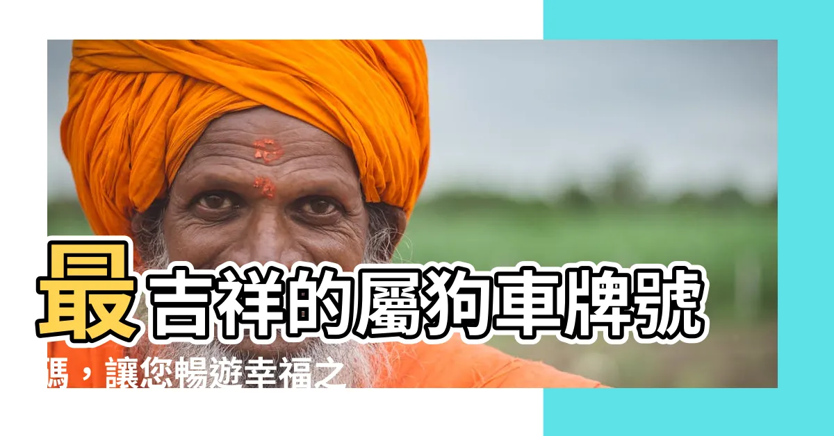 【屬狗車牌】最吉祥的屬狗車牌號碼，讓您暢遊幸福之路！