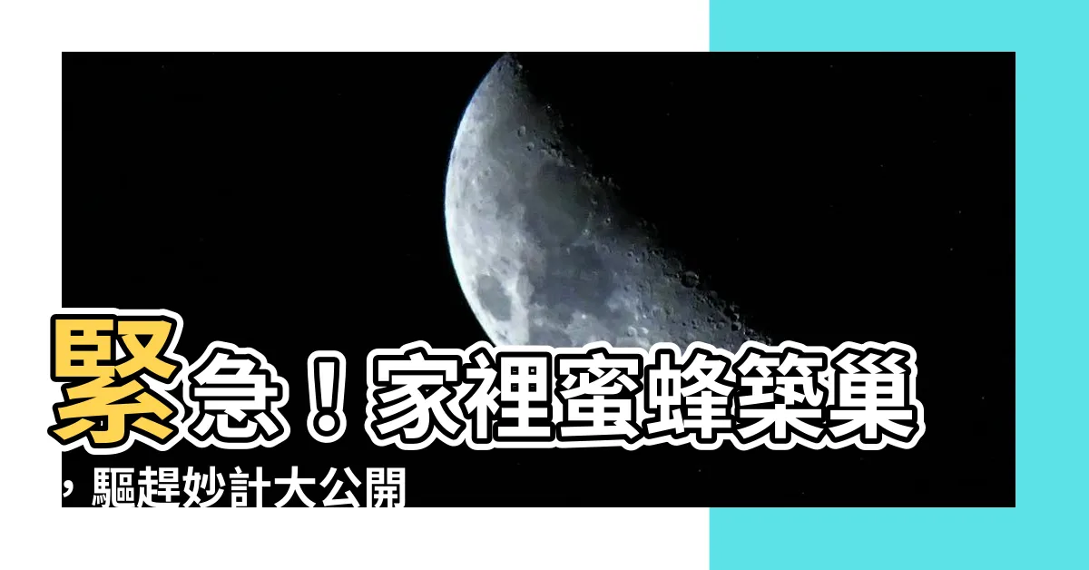 【驅趕蜜蜂築巢】緊急！家裡蜜蜂築巢，驅趕妙計大公開