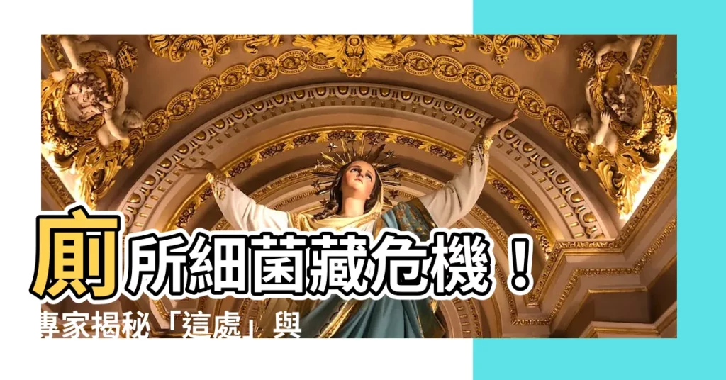 【廁所細菌】廁所細菌藏危機！ 專家揭秘「這處」與馬桶蓋同等髒！