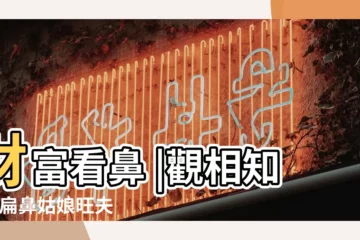 【沒鼻樑鼻翼好闊女】財富看鼻 |觀相知人 |扁鼻姑娘旺夫益己 |