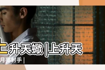 【太陽雙魚月亮射手上升天蠍】上升天蠍 |上升天蠍 |月亮射手 |