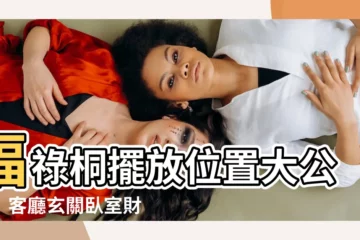 【福 祿 桐擺放 位置】福祿桐擺放位置大公開！客廳玄關卧室財位一次告訴你
