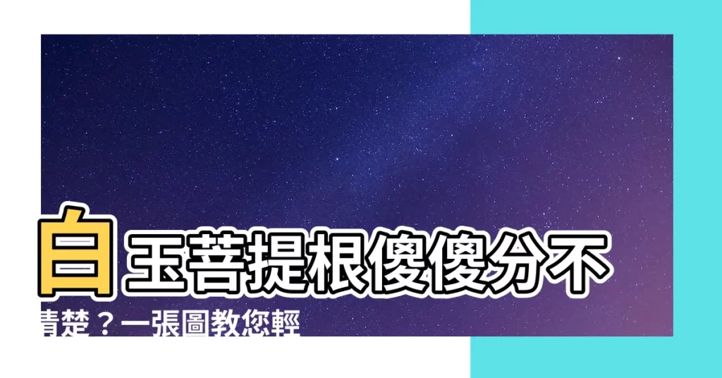 【白玉菩提根】白玉菩提根傻傻分不清楚？一張圖教您輕鬆分辨！