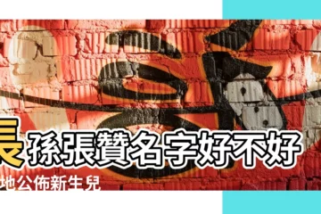 【張讚的名字好不好】長孫張贊名字好不好 |一地公佈新生兒 |男女分別叫 |