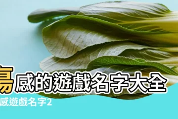 【遊戲傷感名字女生名字大全】傷感的遊戲名字大全 |傷感遊戲名字2020 |遊戲名字女 |