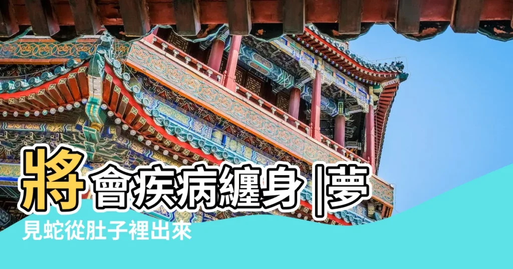 將會疾病纏身 |夢見蛇從肚子裡出來 |夢見肚子裡有蛇 |【晚上睡覺夢到蛇從肚子出來】