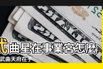 【武曲入事業宮6】武曲星在事業宮怎麼樣 |武曲天府在子午守事業宮 |廉貞星在寅申守命宮 |