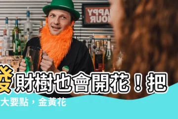 【發財樹 開花】發財樹也會開花！把握2大要點，金黃花朵帶來滿滿財氣
