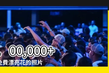 【漂亮花的照片】100,000+ 張免費漂亮花的照片，滿足您的視覺盛宴