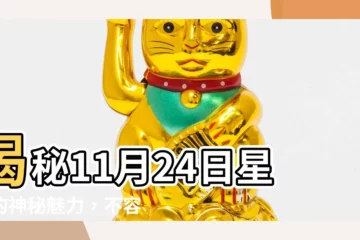 【11月24星座】揭秘11月24日星座的神秘魅力，不容錯過的性格特質！