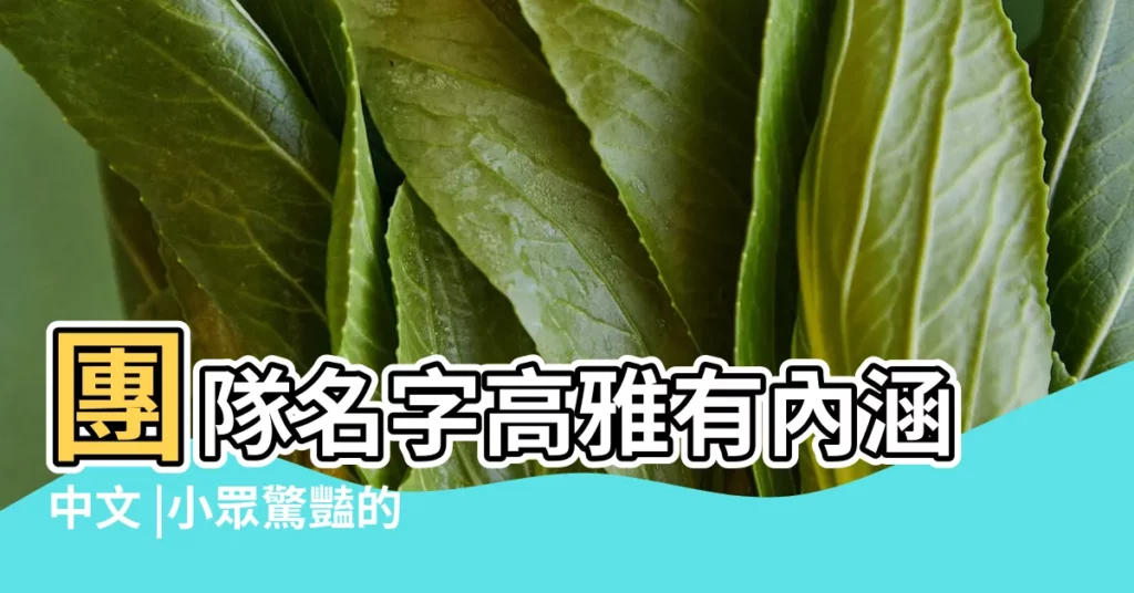 團隊名字高雅有內涵中文 |小眾驚豔的隊名 |團隊名字高雅有內涵 |【有內涵霸氣的團隊名字大全】
