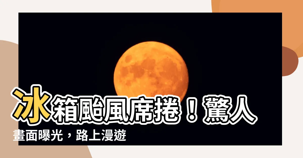 【冰箱 颱風】冰箱颱風席捲！驚人畫面曝光，路上漫遊著離家出走的冰箱