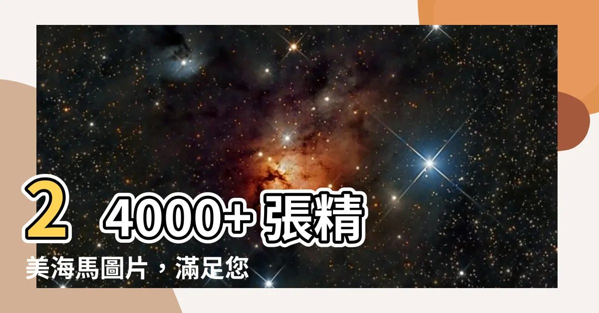 【海馬圖】24000+ 張精美海馬圖片，滿足您所有創作需求！