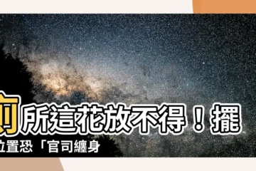 【廁所可以放假花嗎】廁所這花放不得！擺錯位置恐「官司纏身」？