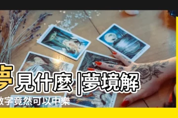 【做夢夢見在學校買盒飯】夢見什麼 |夢境解讀數字竟然可以中樂透 |夢境號碼解析結果 |