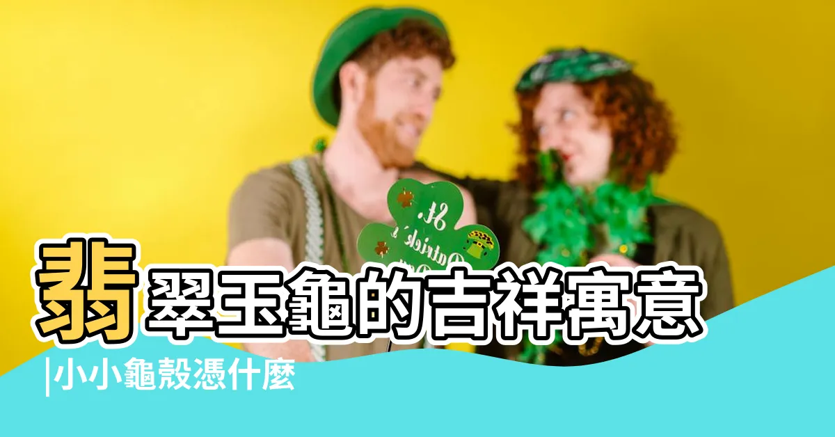 【龜殼寓意】翡翠玉龜的吉祥寓意 |小小龜殼憑什麼敢叫 |富甲天下 |