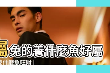 【2019屬兔魚缸擺放什麼講究】屬兔的養什麼魚好屬兔養什麼魚旺財 |十二生肖屬相魚缸有哪些風水擺設攻略禁忌 |2019年魚缸擺放什麼位置 |