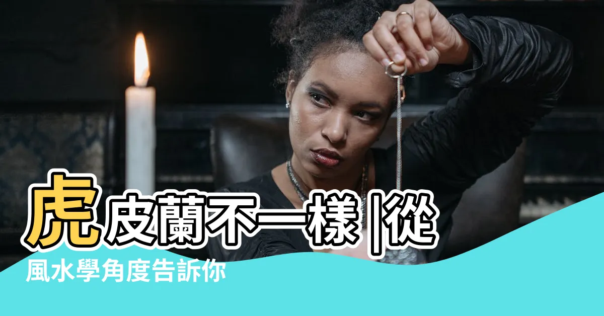 【虎尾蘭 虎皮蘭】虎皮蘭不一樣 |從風水學角度告訴你 |養了半年不長個 |