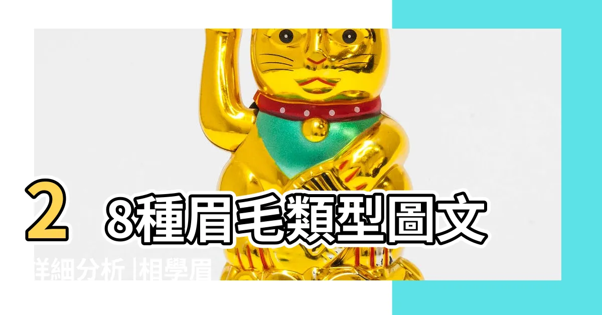【眉相】28種眉毛類型圖文詳細分析 |相學眉毛圖解 |從眉毛看人生訣竅 |
