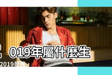 【2019年是什麼年】2019年屬什麼生肖 |2019是民國幾年 |2019年 |