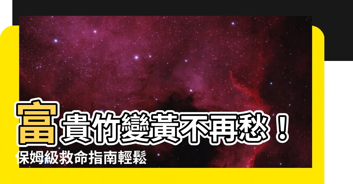 【富貴竹變黃】富貴竹變黃不再愁！保姆級救命指南輕鬆化解葉片危機