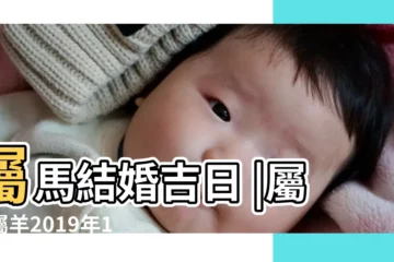 【2019年屬羊屬馬結婚的黃道吉日】屬馬結婚吉日 |屬馬屬羊2019年1月26日適合結婚嗎 |屬羊2019年結婚吉日 |