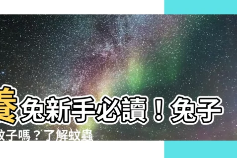 【兔子怕蚊子嗎】養兔新手必讀！兔子怕蚊子嗎？瞭解蚊蟲對兔子的影響