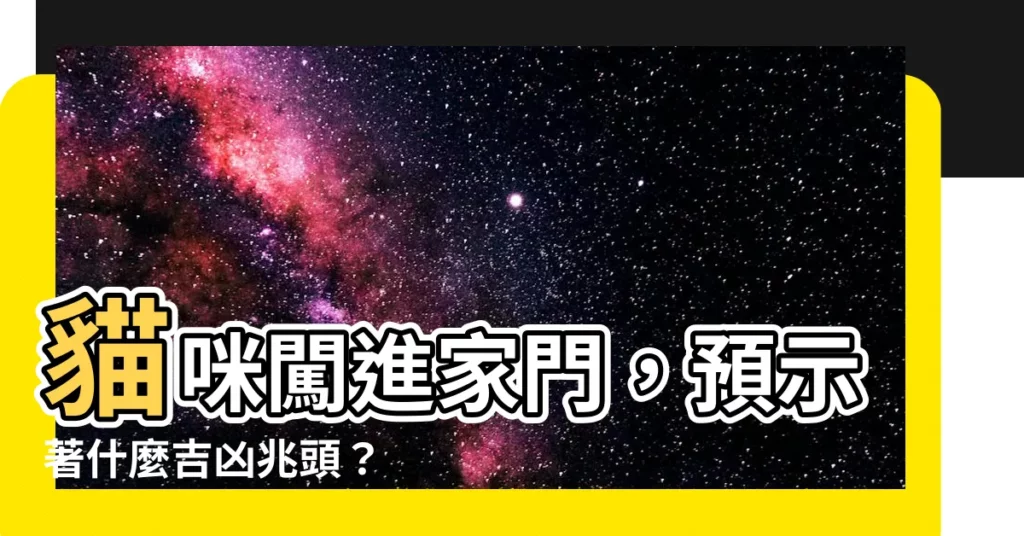 【貓進家門】貓咪闖進家門，預示著什麼吉凶兆頭？