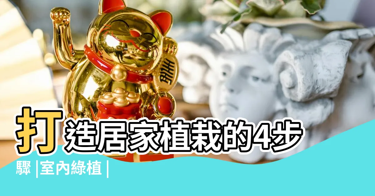 【植物擺設】打造居家植栽的4步驟 |室內綠植 |植物擺飾 |