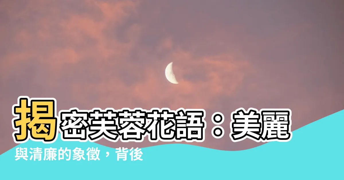 【芙蓉花語】揭密芙蓉花語：美麗與清廉的象徵，背後傳奇不容錯過！