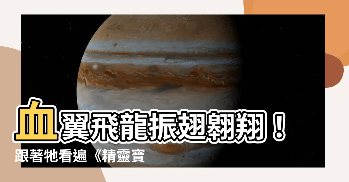 【血翼飛龍】血翼飛龍振翅翱翔！跟著牠看遍《精靈寶可夢》的驚奇世界