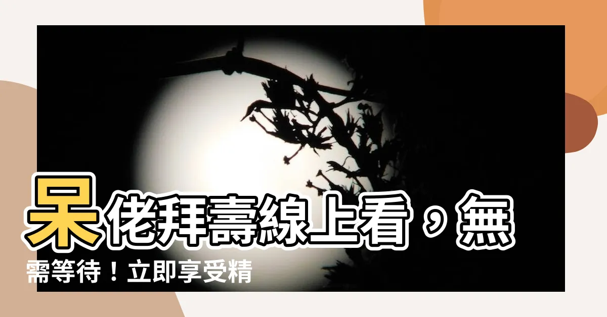 【呆佬拜壽線上看】呆佬拜壽線上看，無需等待！立即享受精彩劇情！