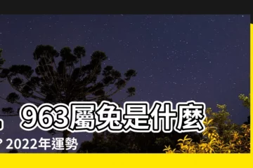 【1963屬什麼】1963屬兔是什麼命？2022年運勢大解析！
