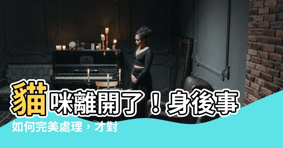 【貓咪死掉如何處理】貓咪離開了！身後事如何完美處理，才對得起毛寶貝？