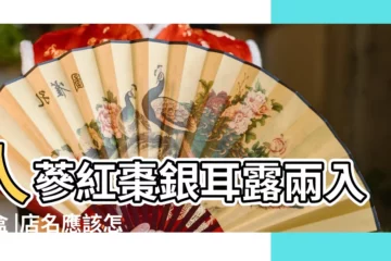 【人蔘網店名稱大全】人蔘紅棗銀耳露兩入禮盒 |店名應該怎麼取 |有121種食材 |